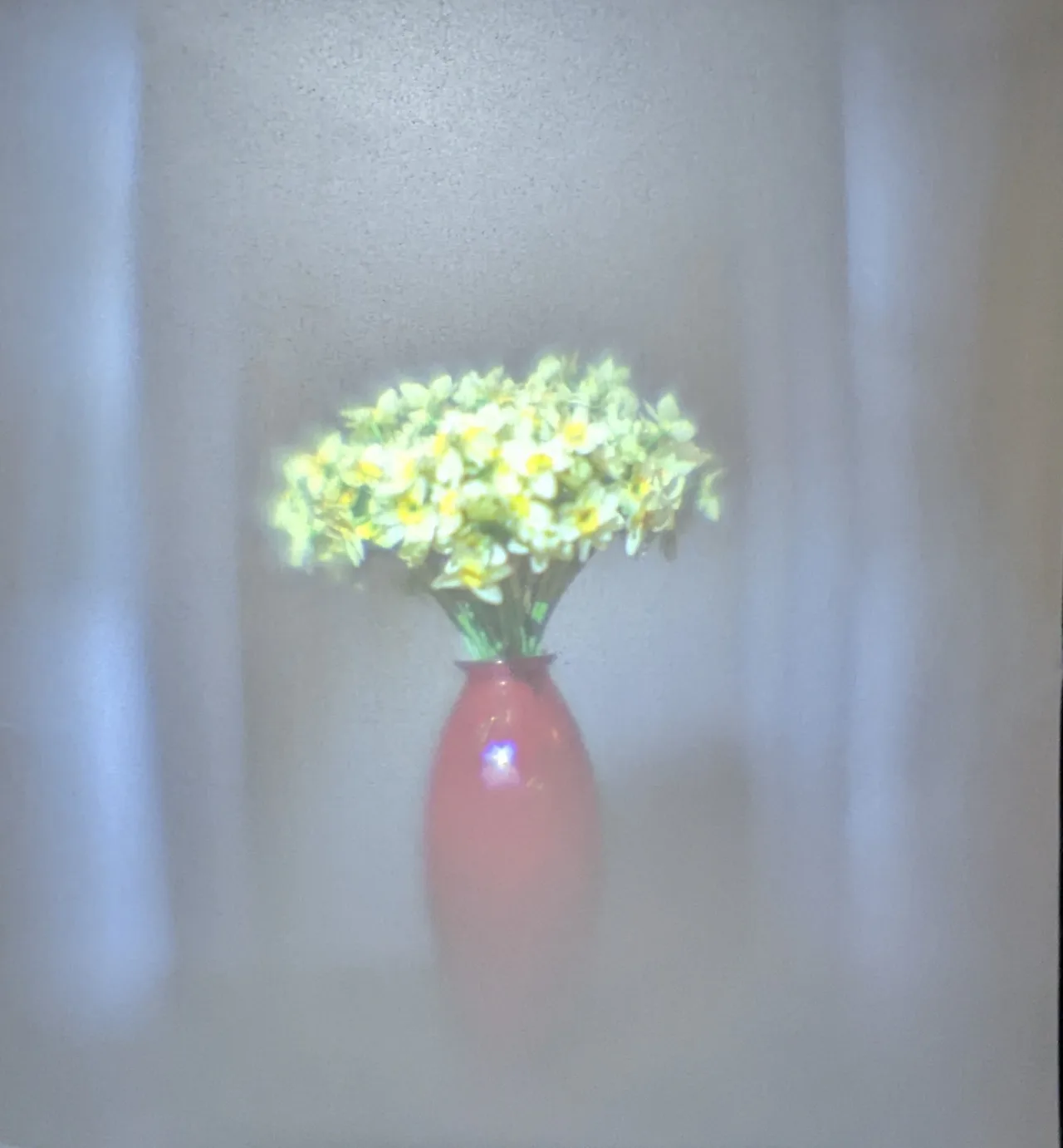 Projected image of flowers in a vase inside the camera obscura