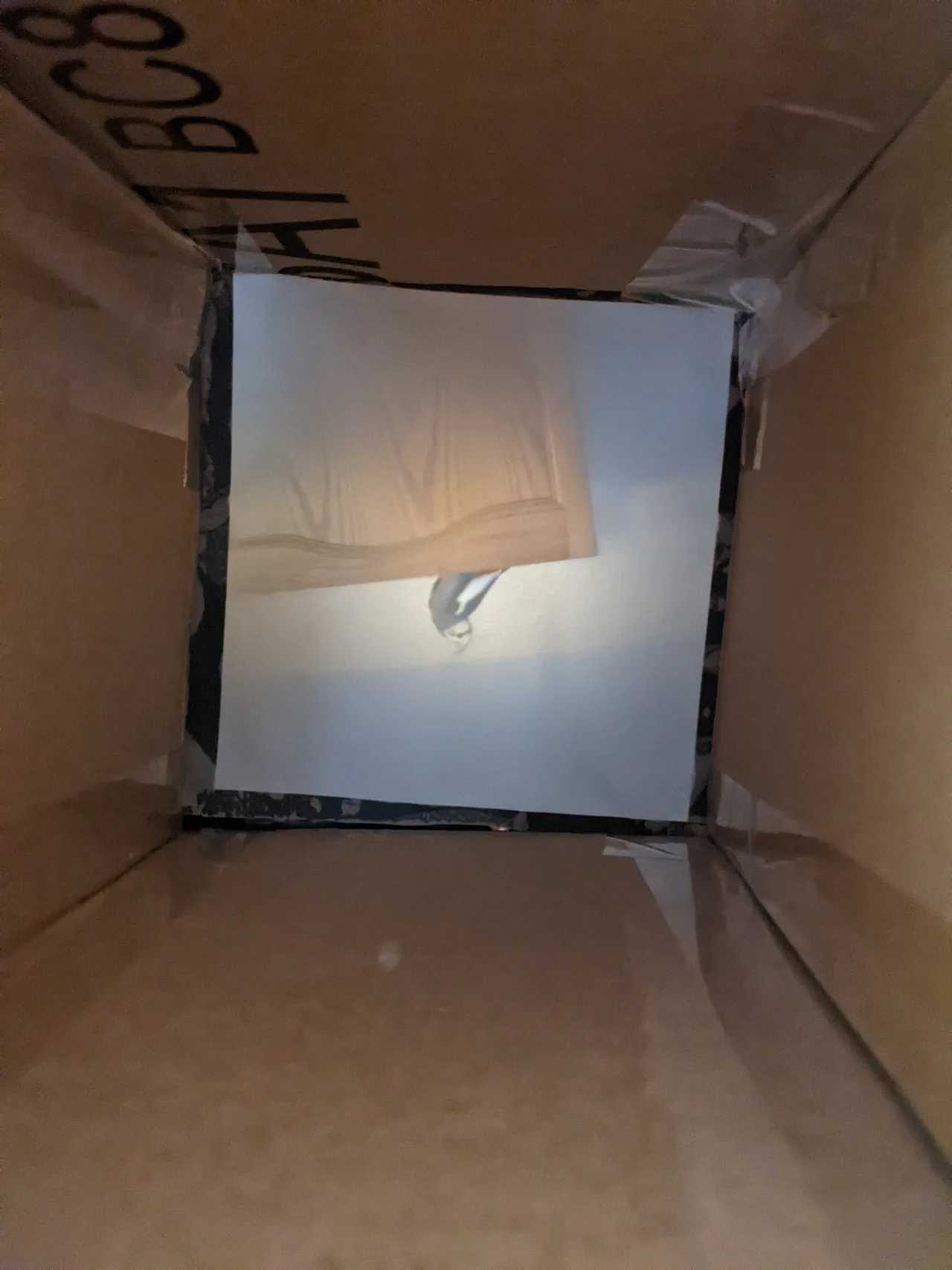 An image projected inside the cardboard camera obscura