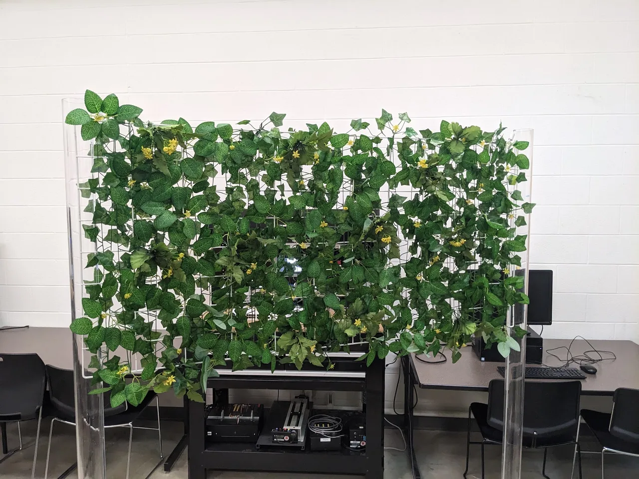 Test setup with flowers on a board