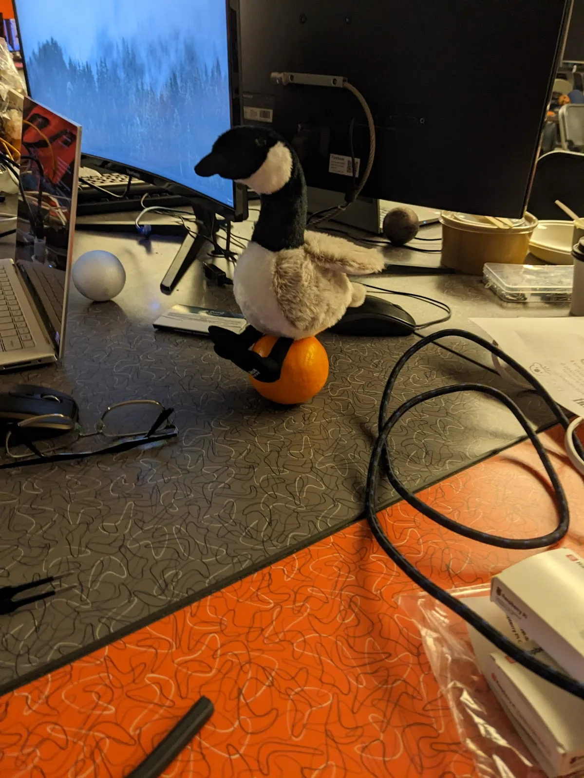 Team at Hack the North