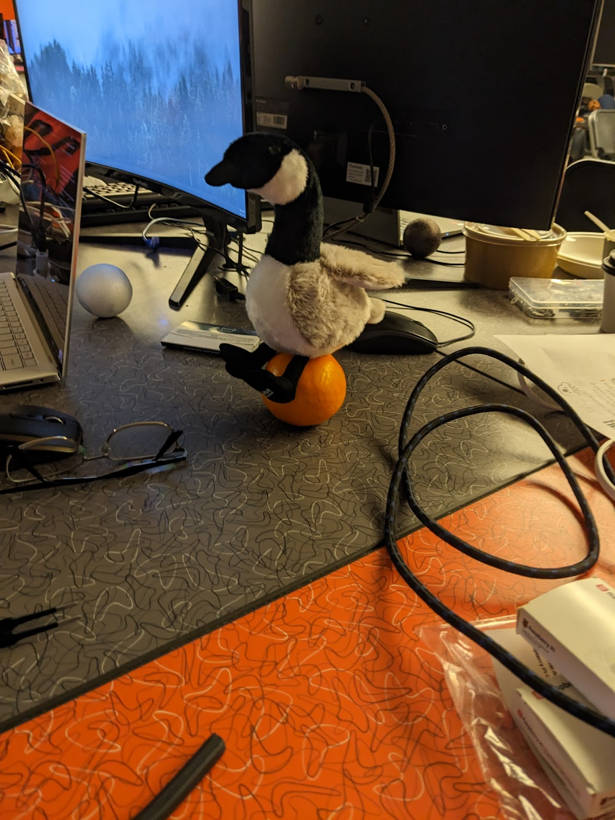 Team at Hack the North