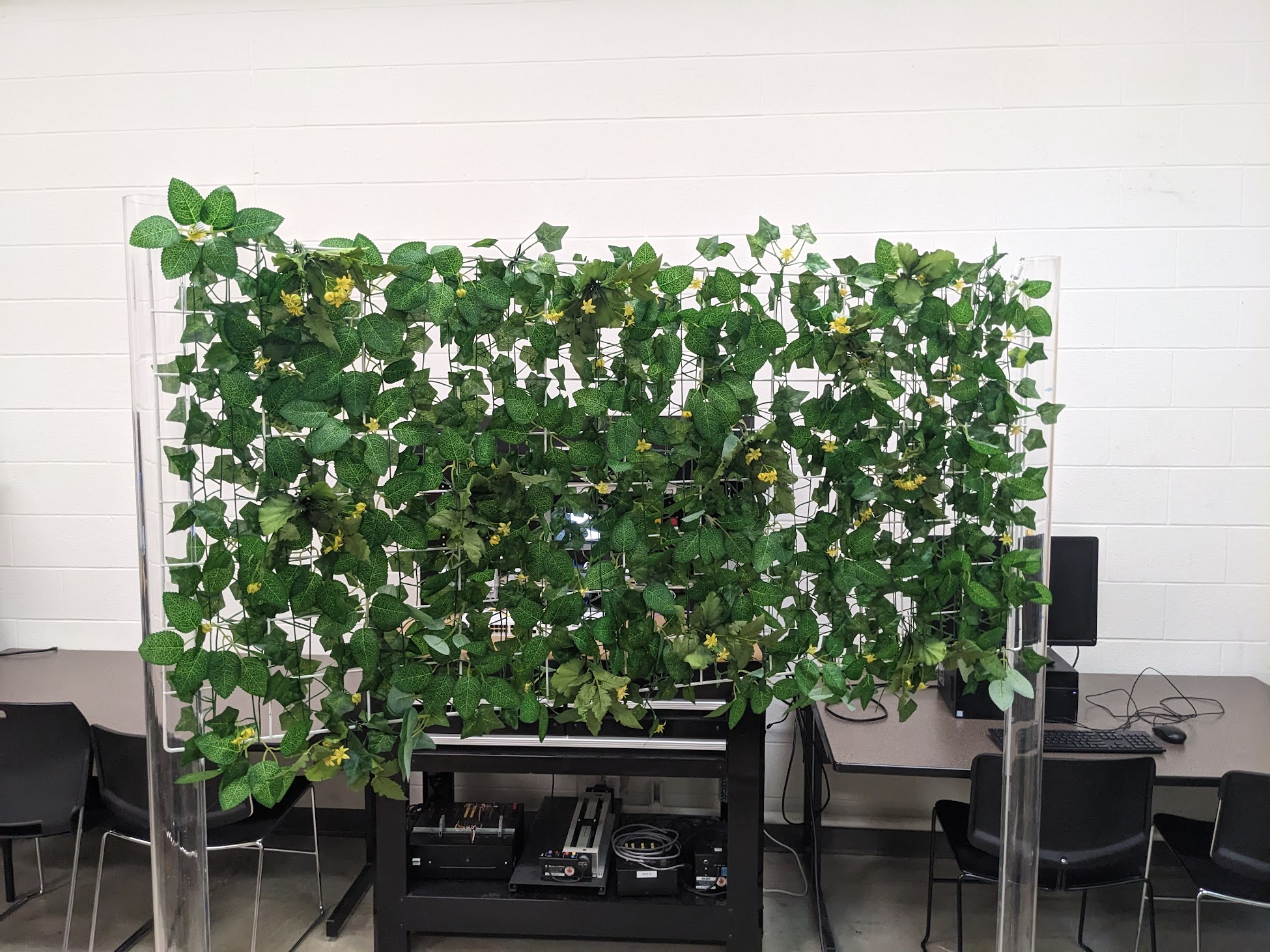 Test setup with flowers on a board